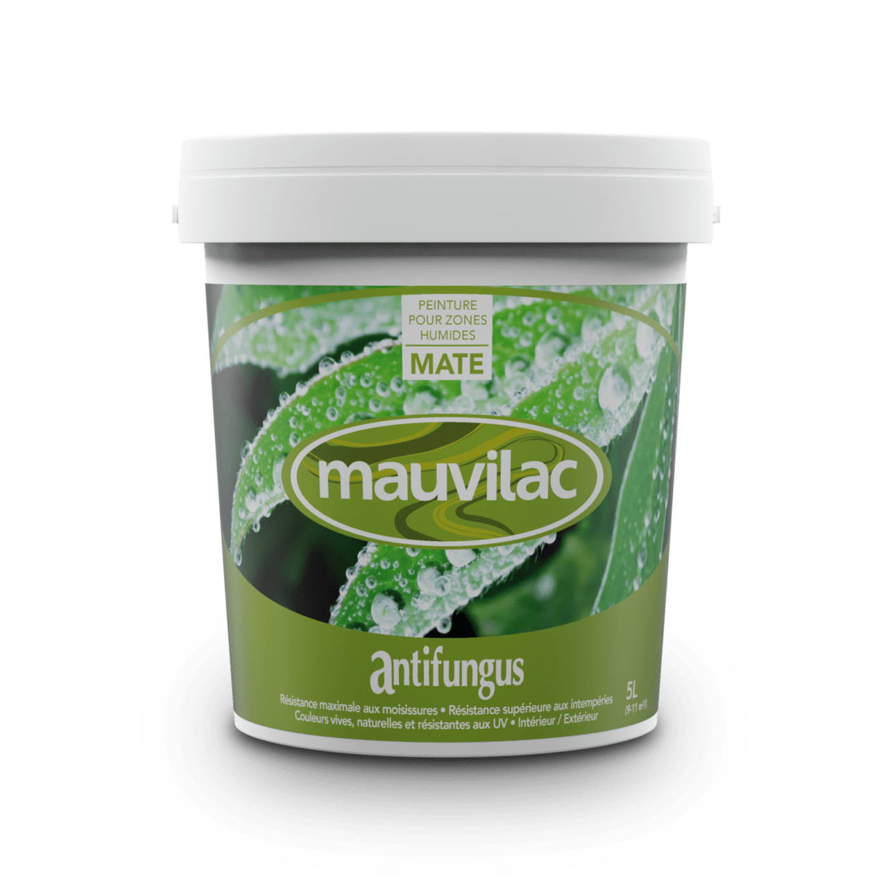 ANTIFUNGUS Mauvilac Industries, Leading Paint Manufacturer in Mauritius
